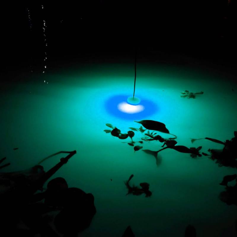 Mini Fishing Attraction Lamp G - Fishing Boat Navigation Light recension och pris